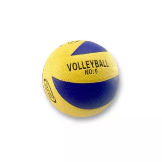 Volejbalový míč vel. 5, žluto-modrý