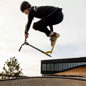 Freestyle koloběžka Story Bandit DOS Golden