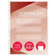 GBC Organizační laminovací kapsy A4+ 125 mic (100)