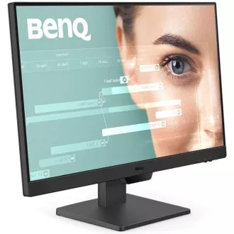 BenQ LCD BL2490 23,8" IPS/1920×1080/100Hz/5ms/DP/2xHDMI/Jack/VESA/Repro/Eye-Care