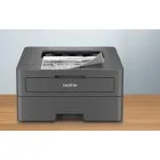 Brother HL-L2402D (30 str., USB 2.0, duplex) - Použité