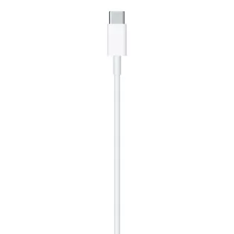 USB-C to Lightning Cable (2 m) / SK