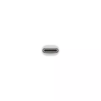 USB-C to USB Adapter