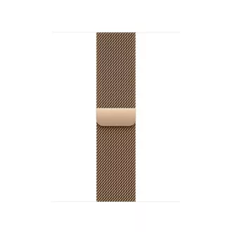 Watch Acc/42/Gold Milanese Loop