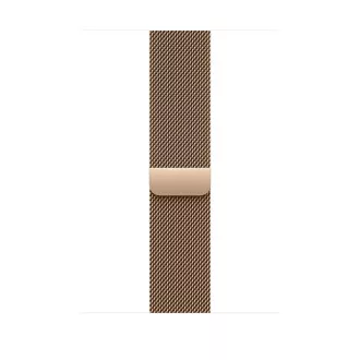Watch Acc/46/Gold Milanese Loop - M/L