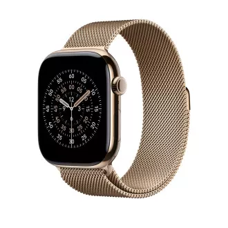 Watch Acc/46/Gold Milanese Loop - M/L