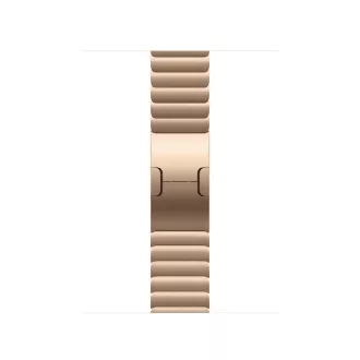 Watch Acc/42/Gold Link Bracelet