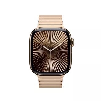 Watch Acc/42/Gold Link Bracelet