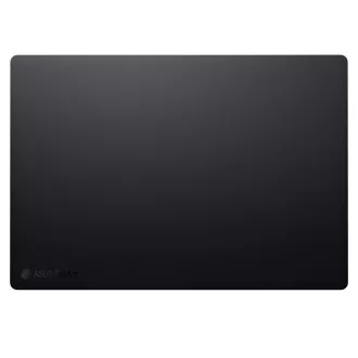 ASUS ProArt P16/H7606/AI9-HX370/16"/4K/T/64GB/2TB + 2TB SSD/RTX 4070/W11P/Black/2R