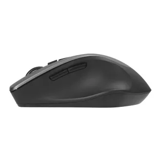 ASUS WT425/Ergonomická/Optická/Pro praváky/1 600 DPI/Bezdrátové USB/Šedá