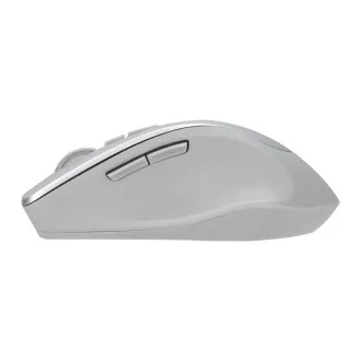 ASUS WT425/Ergonomická/Optická/Pro praváky/1 600 DPI/Bezdrátové USB/Stříbrná