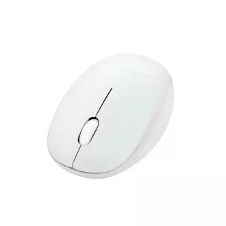 ASUS Fragrance Mouse MD101/Ergonomická/Optická/2 400 DPI/USB+BT/Bílá