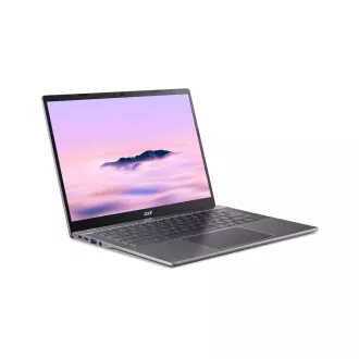 Acer Chromebook Plus 514/CB514-5H-31PH/3-100U/14"/WUXGA/8GB/256GB SSD/UHD/Chrome/Gray/2R Acer Chromebook Plus 514/CB514-5H-31PH/3-100U/14"/WUXGA/8GB/256GB SSD/UHD/Chrome/Gray/2R