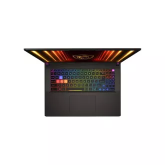 MSI Vector/17 HX AI A2XWJG-031CZ/U9-275HX/17"/2560x1600/32GB/2TB/RTX 5090/W11H/Gray/2R