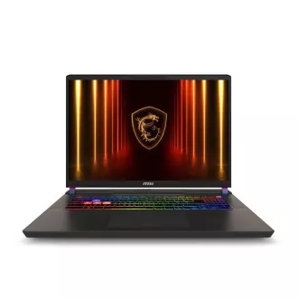 MSI Vector/17 HX AI A2XWHG-035CZ/U9-275HX/17"/2560x1600/32GB/2TB/RTX 5070Ti/W11H/Gray/2R