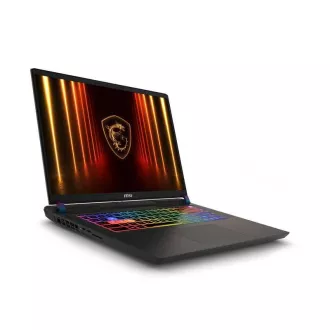 MSI Vector/17 HX AI A2XWHG-035CZ/U9-275HX/17"/2560x1600/32GB/2TB/RTX 5070Ti/W11H/Gray/2R