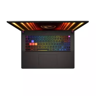 MSI Vector/17 HX AI A2XWHG-035CZ/U9-275HX/17"/2560x1600/32GB/2TB/RTX 5070Ti/W11H/Gray/2R