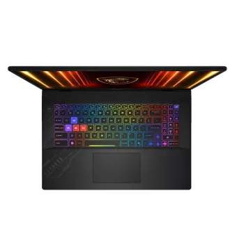 MSI Crosshair/A17 HX D8WFKG-011CZ/R9-8940HX/17"/2560x1600/32GB/1TB/RTX 5060/W11H/Gray/2R MSI Crosshair/A17 HX D8WFKG-011CZ/R9-8940HX/17"/2560x1600/32GB/1TB/RTX 5060/W11H/Gray/2R