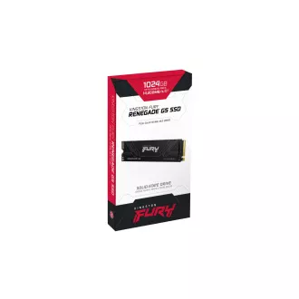 Kingston Fury Renegade G5/1TB/SSD/M.2 NVMe/Černá/Heatsink/5R