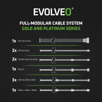 EVOLVEO G750,750W,ATX3.1,14cm,aPFC,80+GOLD,3YRW