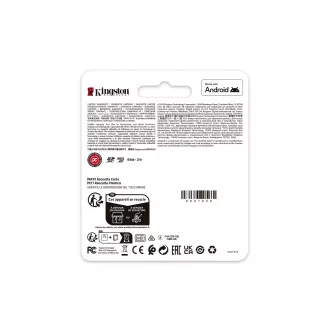 Kingston Canvas Go Plus A2/Micro SDXC/256GB/UHS-I U3 / Class 10