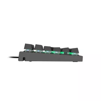 Genesis herní mechanická klávesnice THOR 300/RGB/Outemu Blue/Drátová USB/US layout/Černá