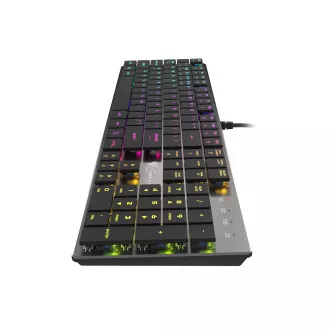 Genesis herní mechanická klávesnice THOR 420/RGB/Content Slim Blue/Drátová USB/US layout/Šedá