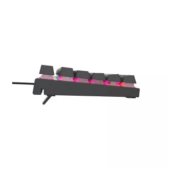 Genesis herní mechanická klávesnice THOR 303/TKL/RGB/Outemu Peach Silent/Drátová USB/US layout/Černá