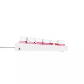 Genesis herní mechanická klávesnice THOR 303/RGB/Outemu Peach Silent/Drátová USB/US layout/Bílá Genesis herní mechanická klávesnice THOR 303/RGB/Outemu Peach Silent/Drátová USB/US layout/Bílá