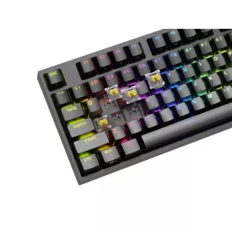 Genesis herní mechanická klávesnice THOR 404/RGB/Gateron Yellow Pro/Drátová USB/US layout/Černá