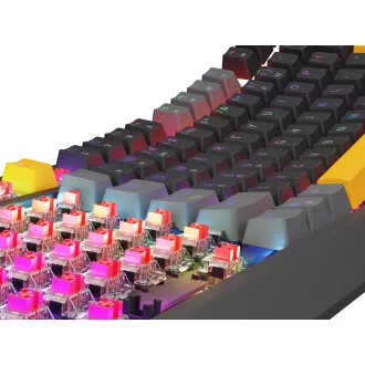 Genesis herní klávesnice THOR 230/TKL/RGB/Outemu Red/Drátová USB/US layout/Anchor Positive Šedá
