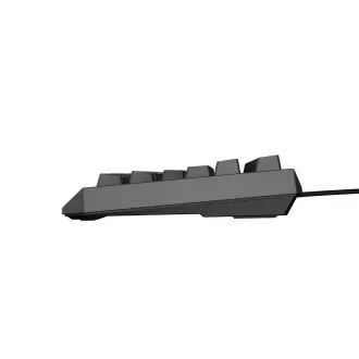 Genesis herní bezdrátová klávesnice THOR 230 Lite/Drátová USB/US layout/Černá