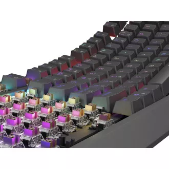 Genesis herní klávesnice THOR 230/TKL/RGB/Outemu Brown/Drátová USB/US layout/Černá