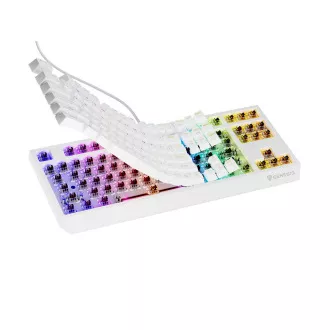 Genesis herní klávesnice THOR 230/TKL/RGB/Outemu Brown/Drátová USB/US layout/Bílá