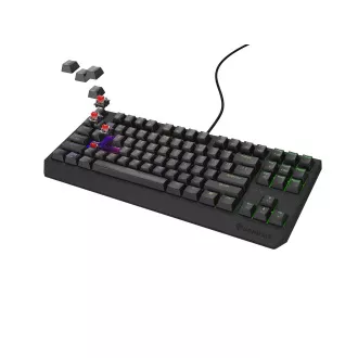 Genesis herní klávesnice THOR 230/TKL/RGB/Outemu Red/Drátová USB/US layout/Černá