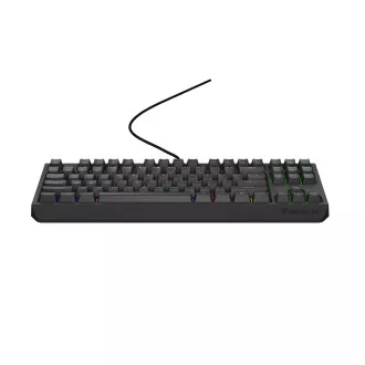 Genesis herní klávesnice THOR 230/TKL/RGB/Outemu Red/Drátová USB/US layout/Černá