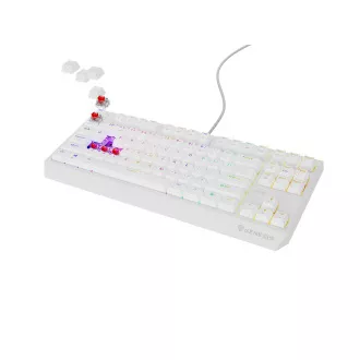 Genesis herní klávesnice THOR 230/TKL/RGB/Outemu Red/Drátová USB/US layout/Bílá