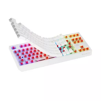 Genesis herní klávesnice THOR 230/TKL/RGB/Outemu Red/Drátová USB/US layout/Bílá