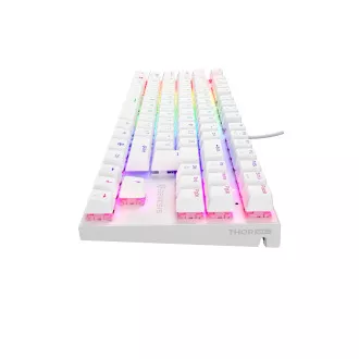 Genesis tichá herní klávesnice THOR 303/TKL/RGB/Outemu Peach Silent/Drátová USB/US layout/Bílá