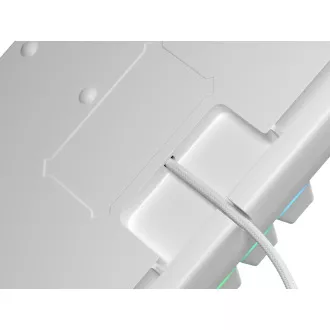 Genesis tichá herní klávesnice THOR 303/TKL/RGB/Outemu Peach Silent/Drátová USB/US layout/Bílá