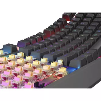 GENESIS herní klávesnice THOR 230/TKL/RGB/Outemu Panda/Bezdrátová USB + Bluetooth/US layout/Černá