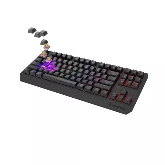GENESIS herní klávesnice THOR 230/TKL/RGB/Outemu Panda/Bezdrátová USB + Bluetooth/US layout/Černá