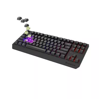GENESIS herní klávesnice THOR 230/TKL/RGB/Outemu Silent Lemon/Bezdrátová USB + Bluetooth/US layout/Č