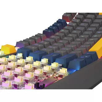 GENESIS herní klávesnice THOR 230/TKL/RGB/Outemu Panda/Drátová USB/US layout/Naval Blue Negative
