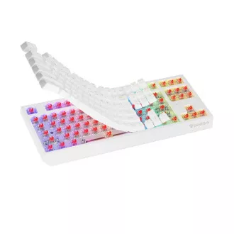 GENESIS herní klávesnice THOR 230/TKL/RGB/Outemu Red/Bezdrátová USB + Bluetooth/US layout/Bílá