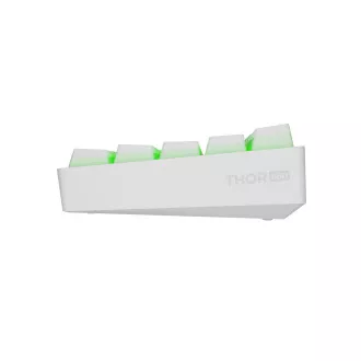 Genesis herní klávesnice THOR 660 G2/Gateron Red/USB+BT/US layout/Bílá