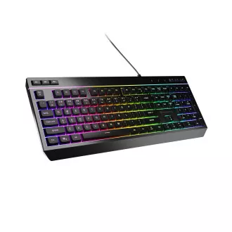 Herní klávesnice Genesis RHOD 530/RGB/Drátové USB-A/US/Černá
