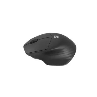 Natec optická myš SISKIN 2/Kancelářská/Optická/Pro praváky/1 600 DPI/USB+BT/Černá Natec optická myš SISKIN 2/Kancelářská/Optická/Pro praváky/1 600 DPI/USB+BT/Černá