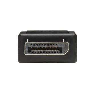 Video adaptér DisplayPort / DVI (Samec/Samice), 15.2cm