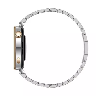 Huawei Watch GT 4/41mm/Silver/Elegant Band/Silver